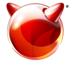 FreeBSD gstat
