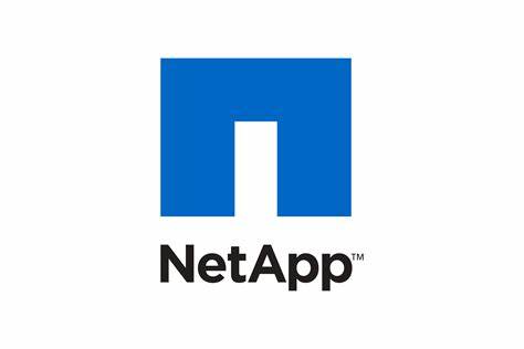 Netapp ONTAP API