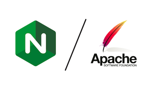 Web Servers Log (Apache, Nginx, IIS)